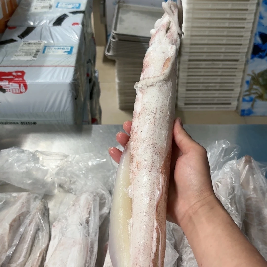 北部湾 北海特产 鱿鱼 特大火箭鱿鱼（龟哥专属）