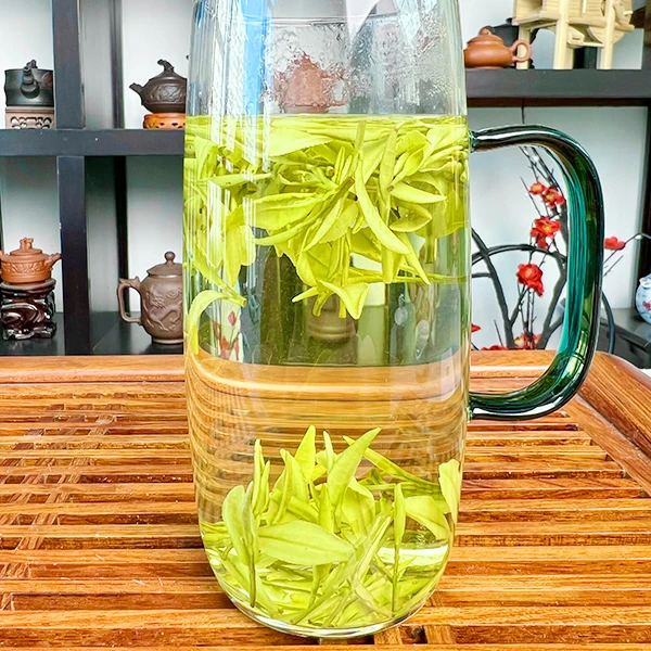 2023年新茶原产地白茶（金香玉）品质之选高山茶SJY001  250g/500g