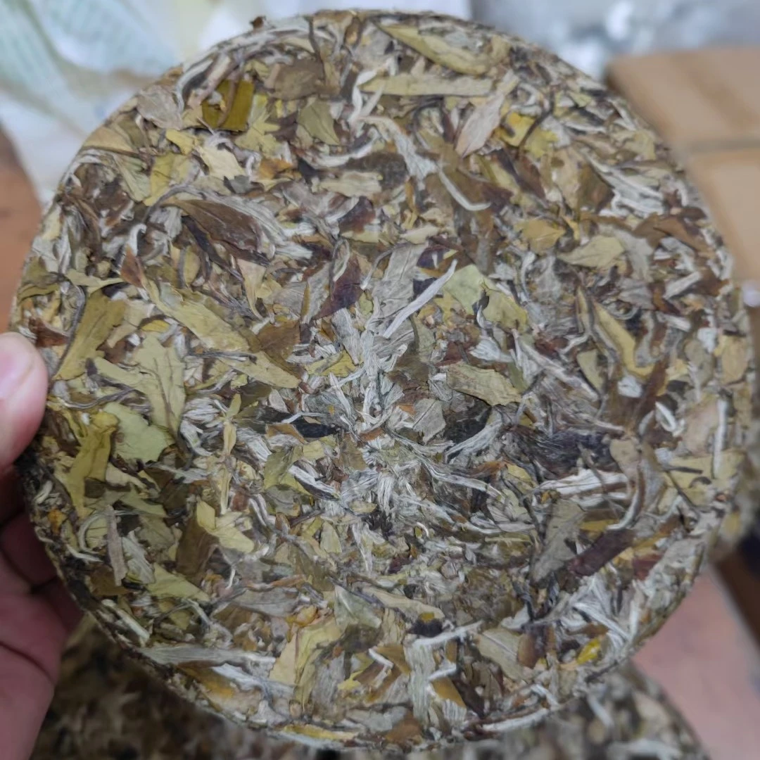 2021年政和白茶.六号春牡丹饼300克厂家直销