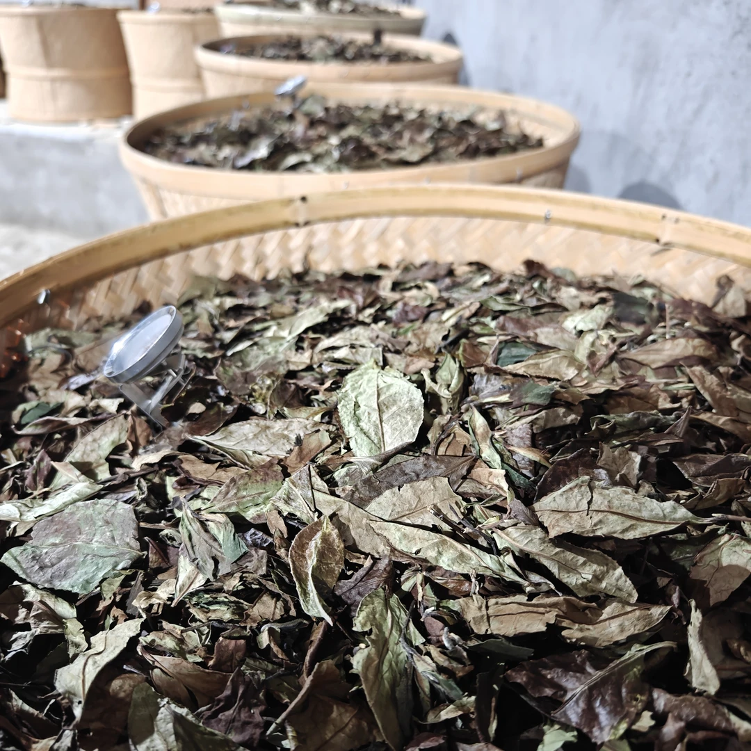 2021年政和白茶.炭焙荒野白茶厂家直销顺