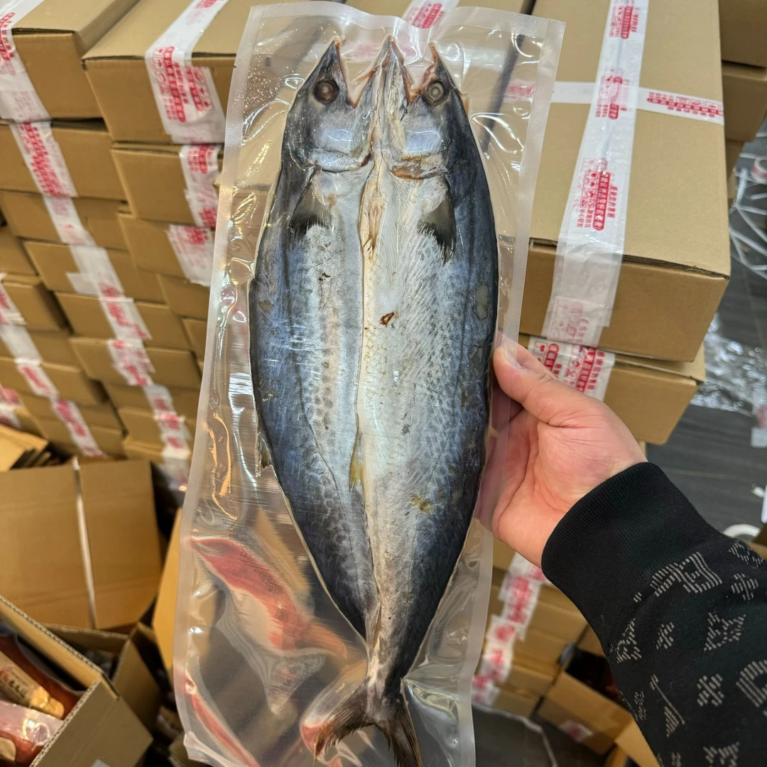 青岛当地甜晒鲅鱼干 一卤鲜 每条八两到一斤