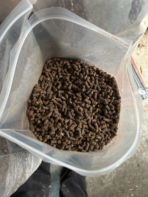 腐叶兰菌颗粒植料