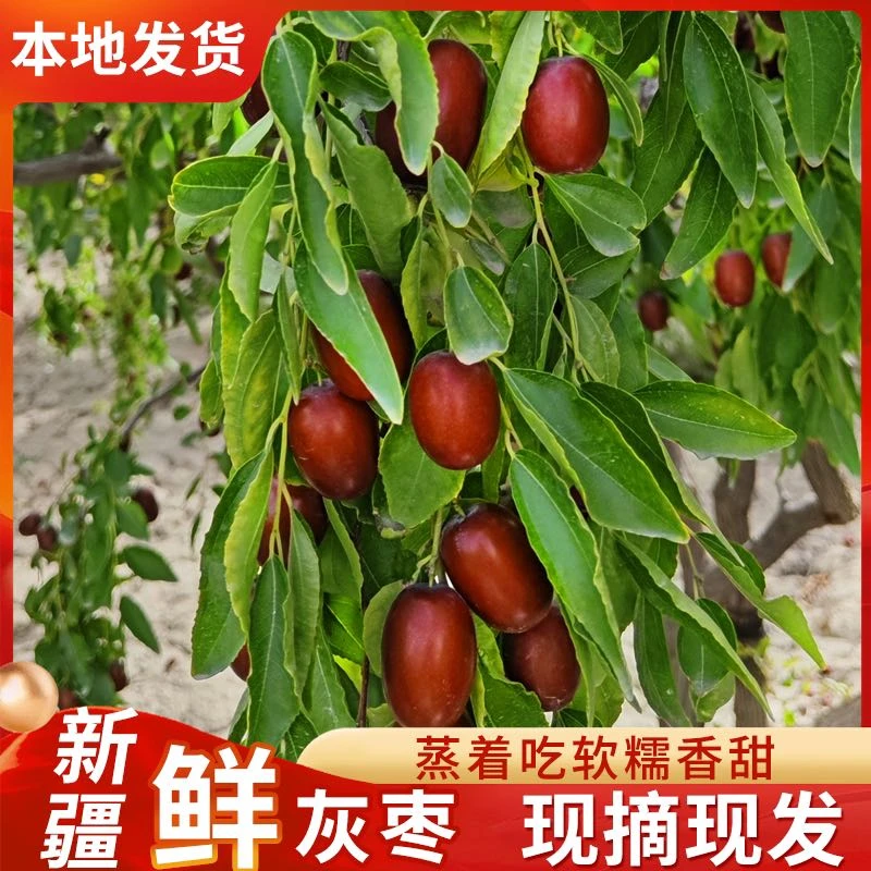 新疆鲜灰枣鲜红枣小时候的味道新鲜采摘坏果包赔自家枣原产地直供