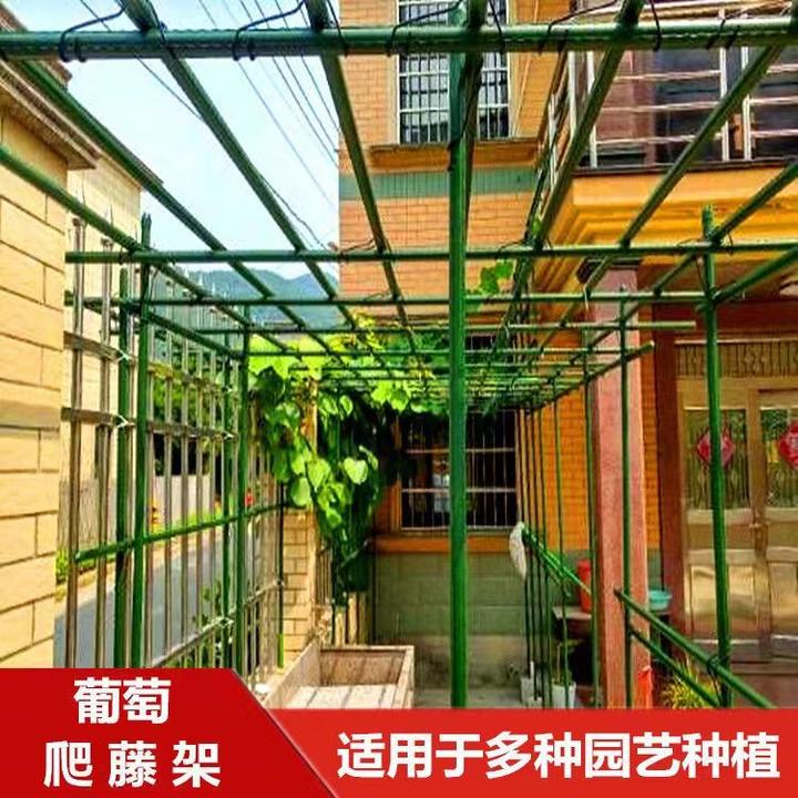 藤蔓花卉支撑包塑钢管户外庭院支柱家用植物支架爬藤架葡萄黄瓜架
