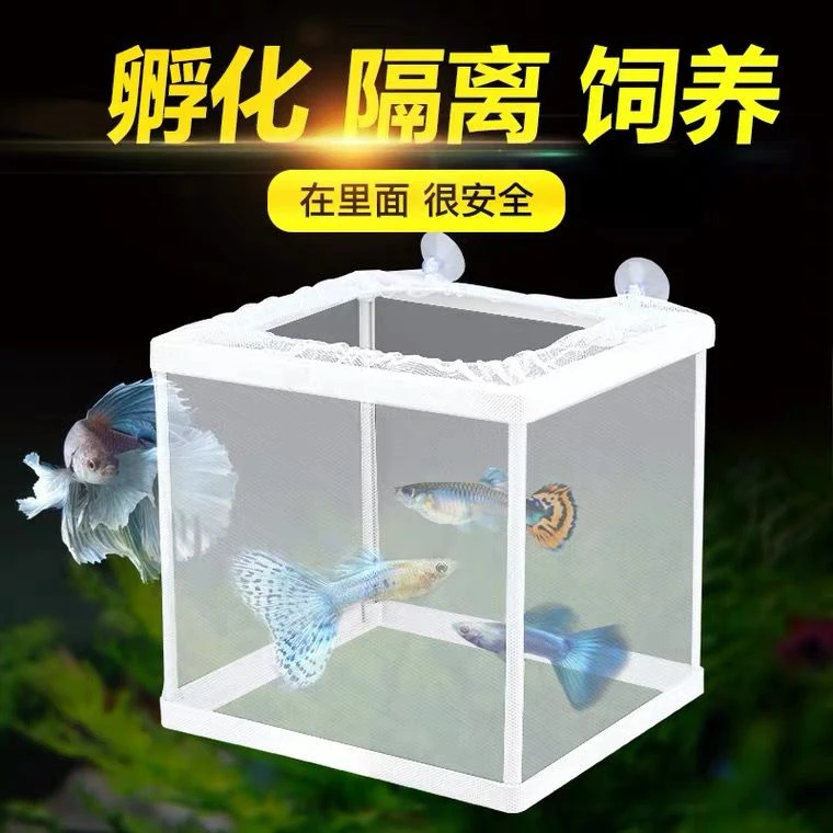 鱼缸隔离网水族箱隔离器隔离盒网鱼缸孵化器繁殖箱孵鱼槽孵化鱼网