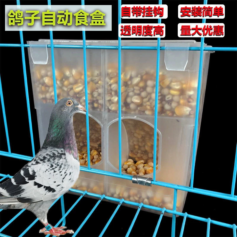 鸽子自动喂食器鸽子食槽鸽子用品用具肉鸽食盒自动漏食下料器挂盒