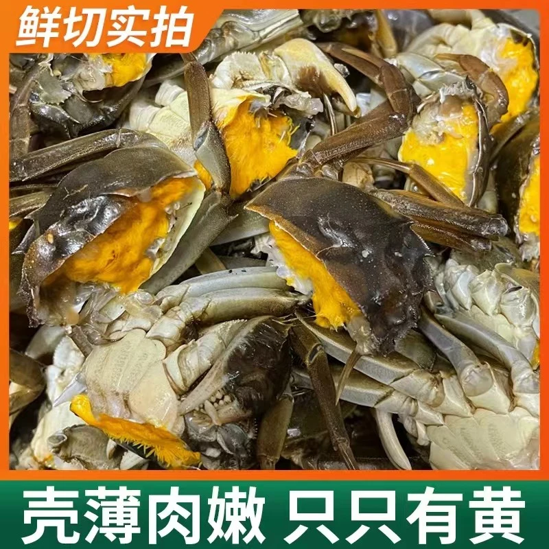 【活蟹】精品活蟹河蟹 全母1.3-1.6两 10只