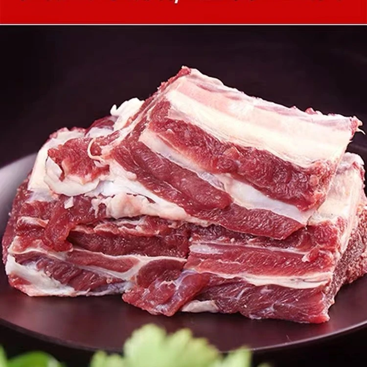 【刘纪牛肋排】4斤起牛五花肉火锅烤肉红烧清炖软嫩鲜香带骨