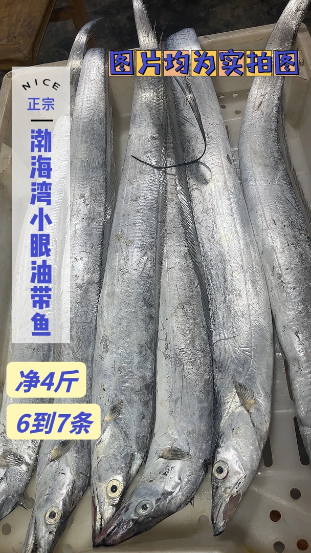 【清蒸红烧，易破肚划皮】大号净4斤6-7条小眼油带鱼速冻整条发货