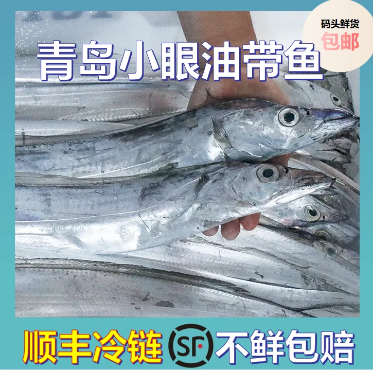 正宗小眼油带鱼新鲜冷冻青岛发货顺丰冷链快递净重4斤装10-12条