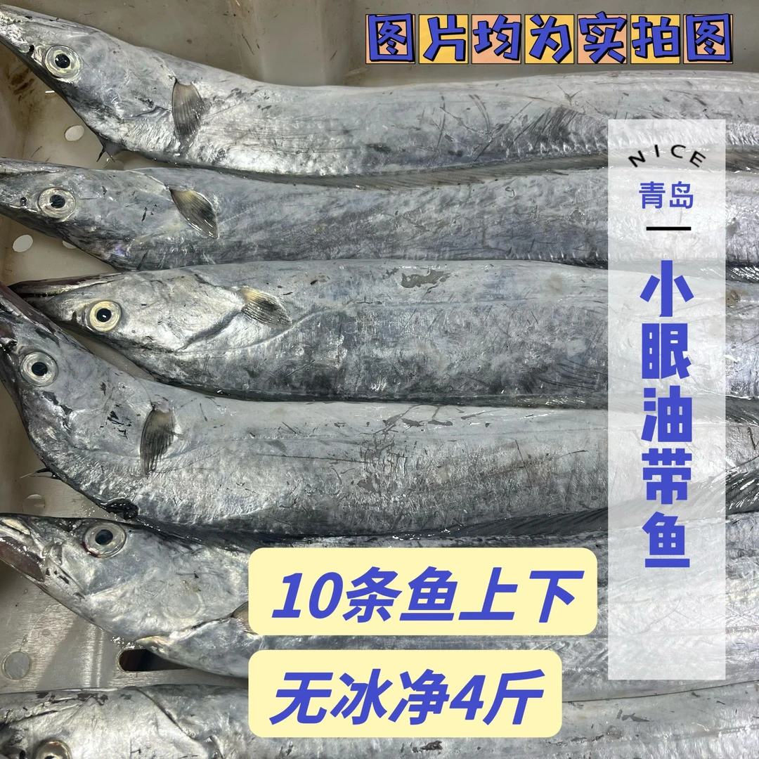 【中号百搭款，易划皮个别破肚】净4斤10条上下小眼油带鱼速冻整条发
