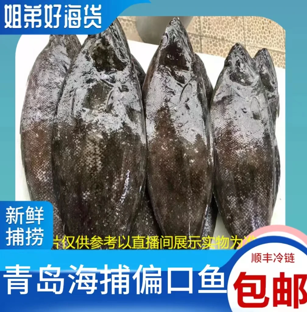 青岛偏口鱼长脖鱼品质新鲜速冻保鲜冷链运输通货净重4斤