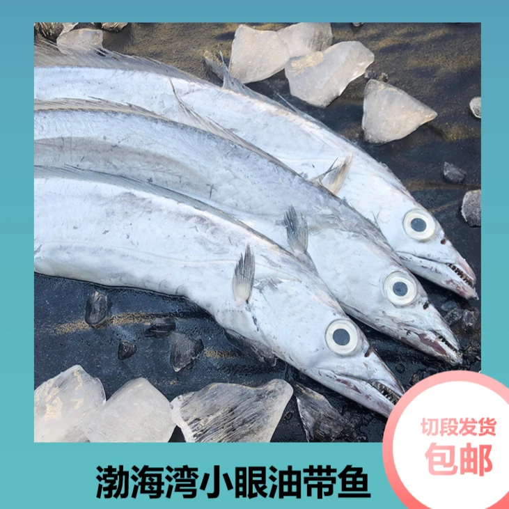 直播间福利正宗小眼油带鱼新鲜海捕冷冻净重4斤瑕疵破肚介意慎拍