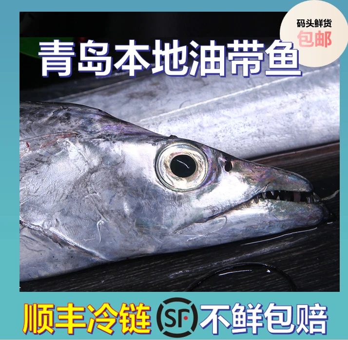 正宗大号青岛油带鱼肉厚渔民海捕新鲜冷冻速冻锁鲜发货4斤5-6条