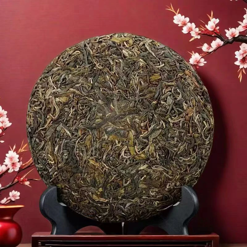 古树饼茶2023年曼松茶王