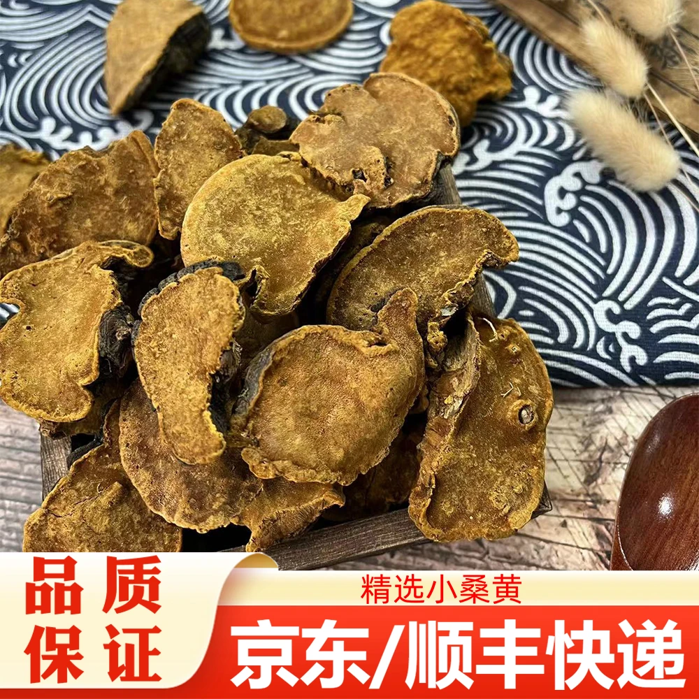 【精选】（小桑黄）可搭配桑椹煲水煲汤