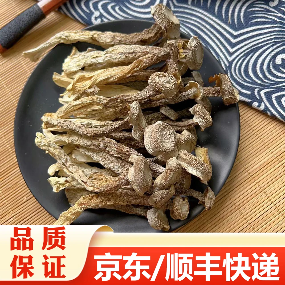 【精选】鹿茸菇干货