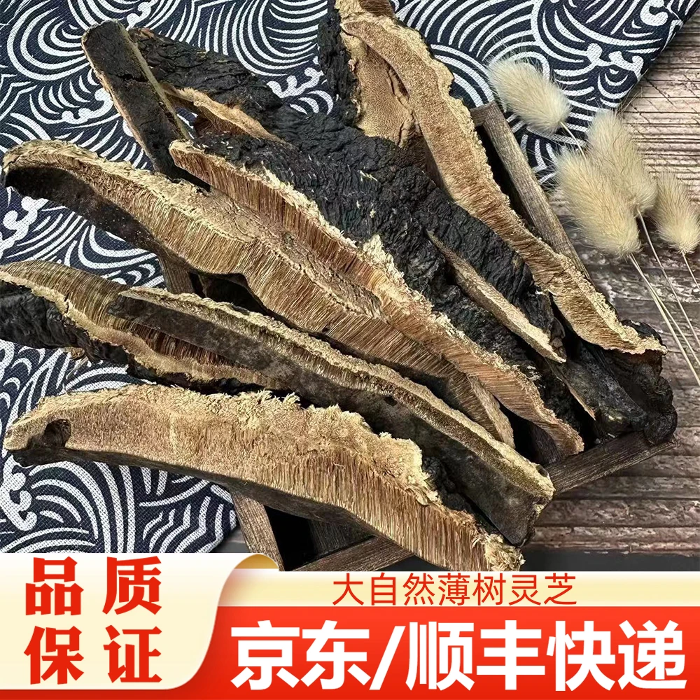 【精选】大自然薄树灵芝
