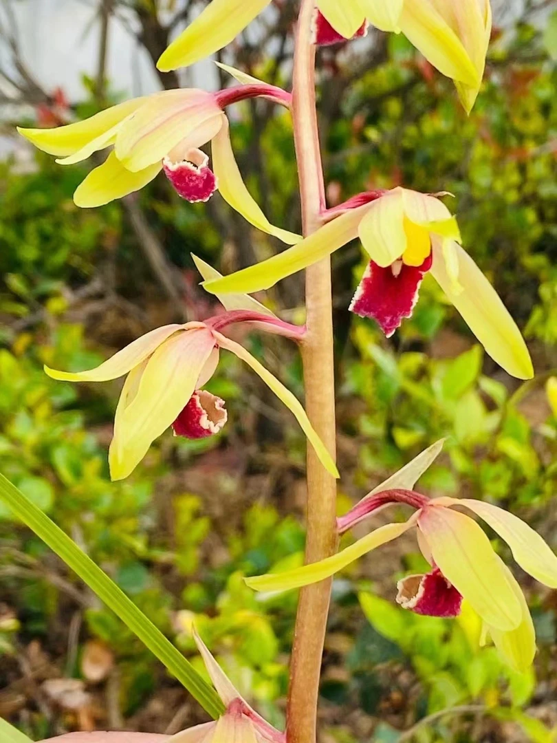 惠兰新品（50元---500元付款入口）一物一拍，满百包邮