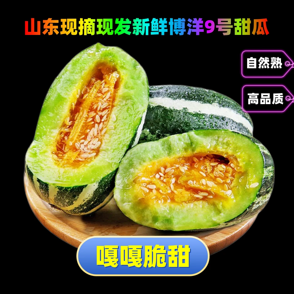 鑫荣升博洋9号甜瓜4.5-5斤春季甜瓜羊角蜜农产品