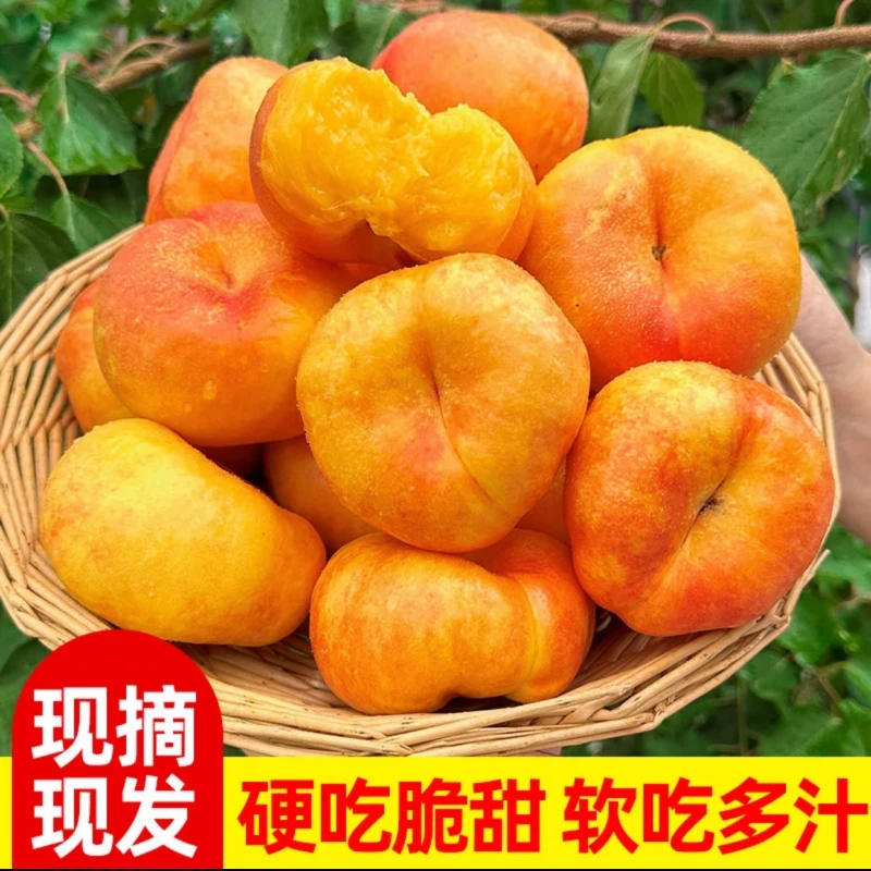 【丽丽专属】蒙阴黄金油蟠桃新鲜水果山东黄蟠桃孕妇当季3/5斤