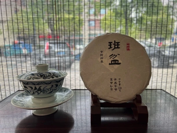 2024年班盆挑采大古树头春 200克饼茶