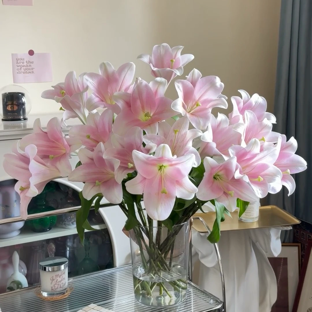 【粉铁炮】亚百合 5度以下必须拍保温棉否则冻坏不售后   顺丰包邮