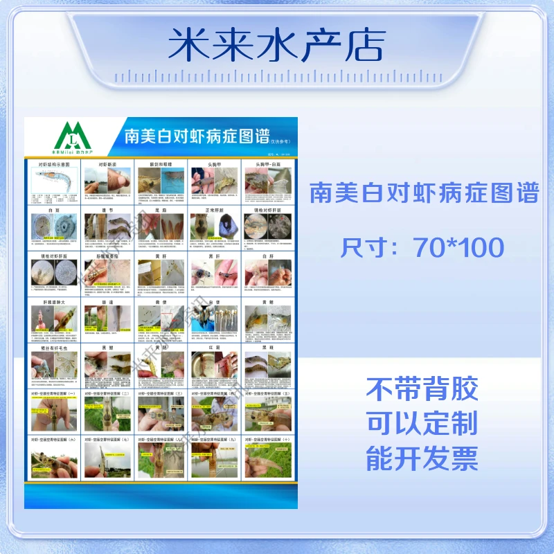 米来水产南美白对虾图内容全面特殊材质制作不会掉色包邮纸管包装