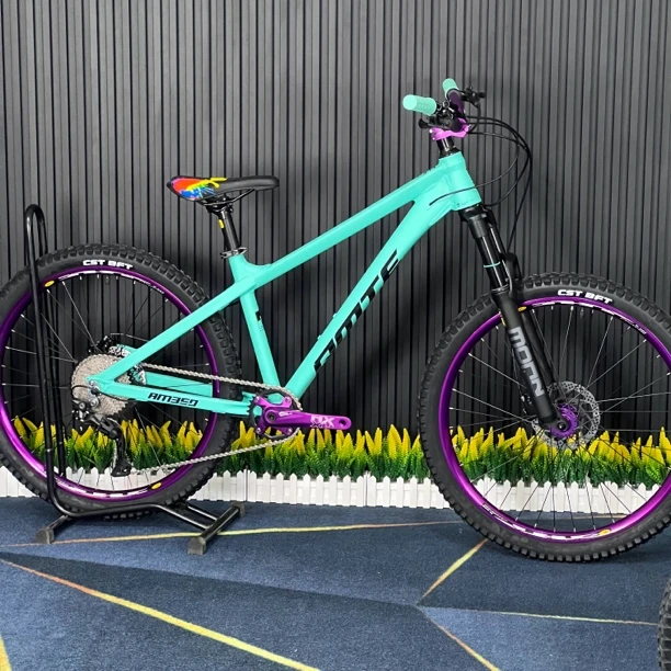 XTk350油簧版本硬尾Am山地车十速油刹大颗粒油簧避震