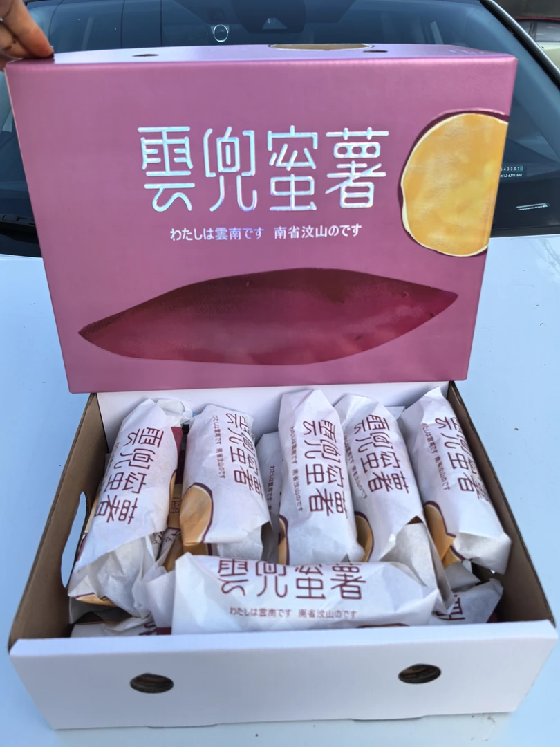 云兜蜜薯云南鸣门金时红薯板栗蜜薯新鲜地瓜粉糯香甜黄心番薯无丝