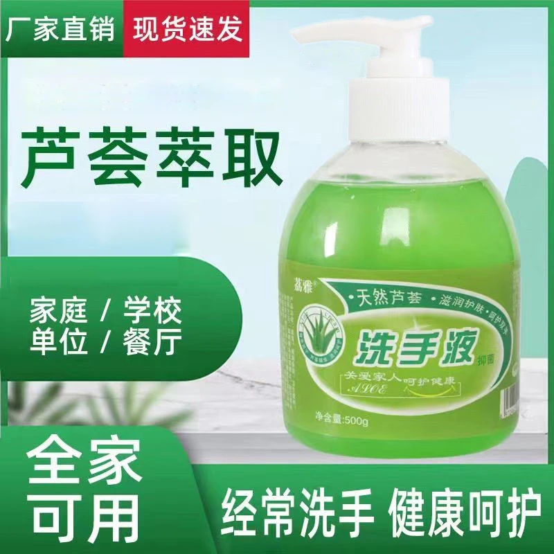 【荔雅】3瓶+2泵洗手液清香温和保湿按压瓶家用清洁抑菌洗手液瓶装1