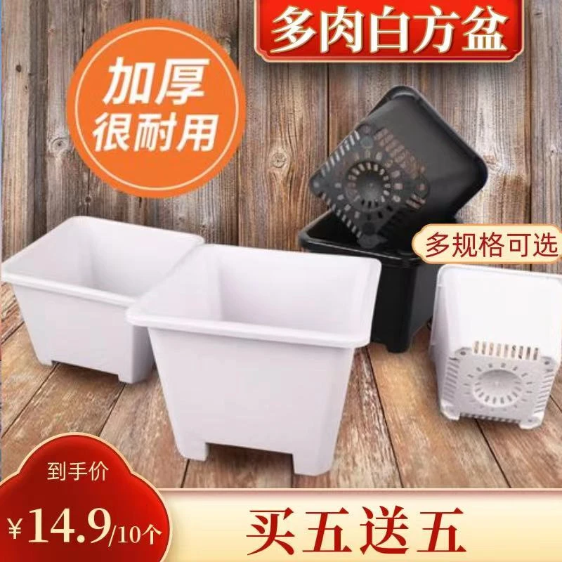 【园艺师严选】多肉种植白方盆-买五送五