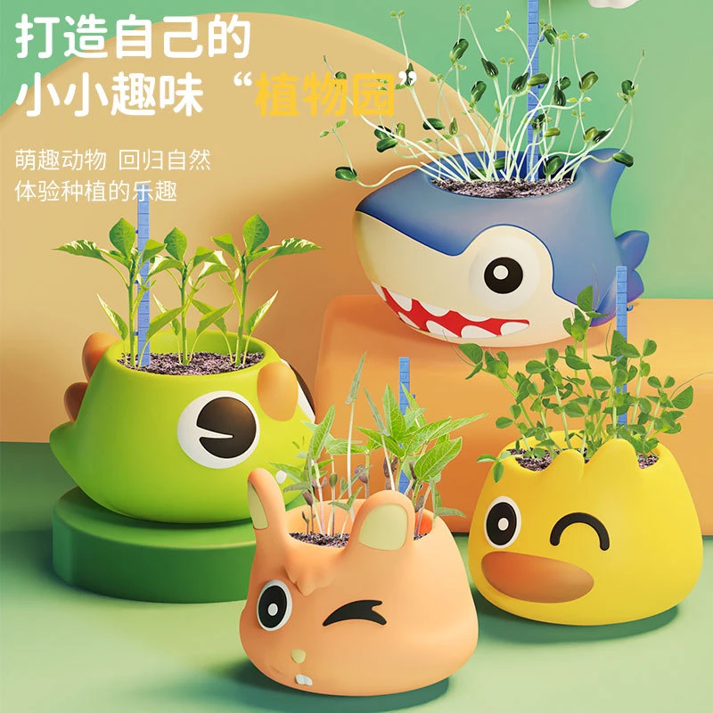 儿童种植小盆栽孩子儿童节礼植物生长发芽礼物小学生趣味桌子摆件