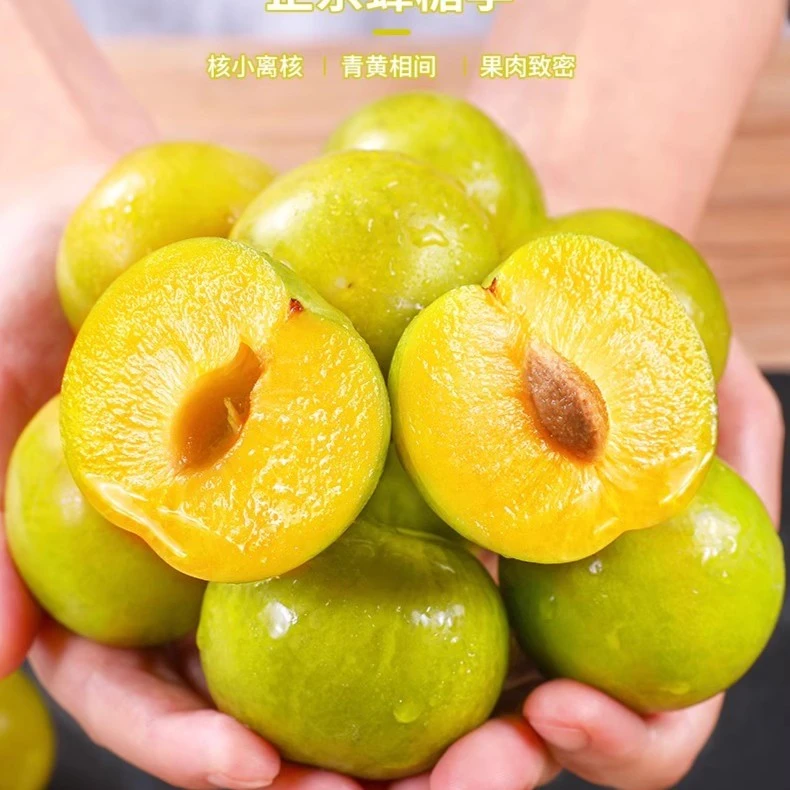南方北方种植果树果苗庭院地栽