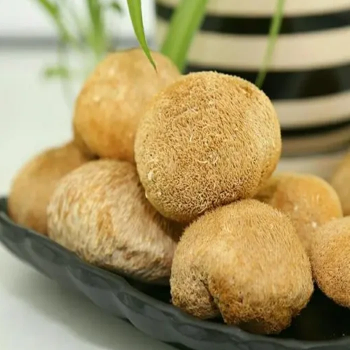 猴头菇干货新鲜猴头菌猴菇无硫猴头菇新鲜煲汤食用