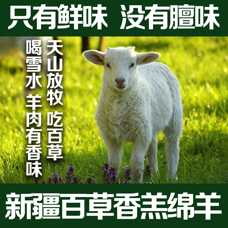 新疆羊肉羔羊分割羊前腿包赔后腿精品优质羊里脊排酸精品肉质牧场