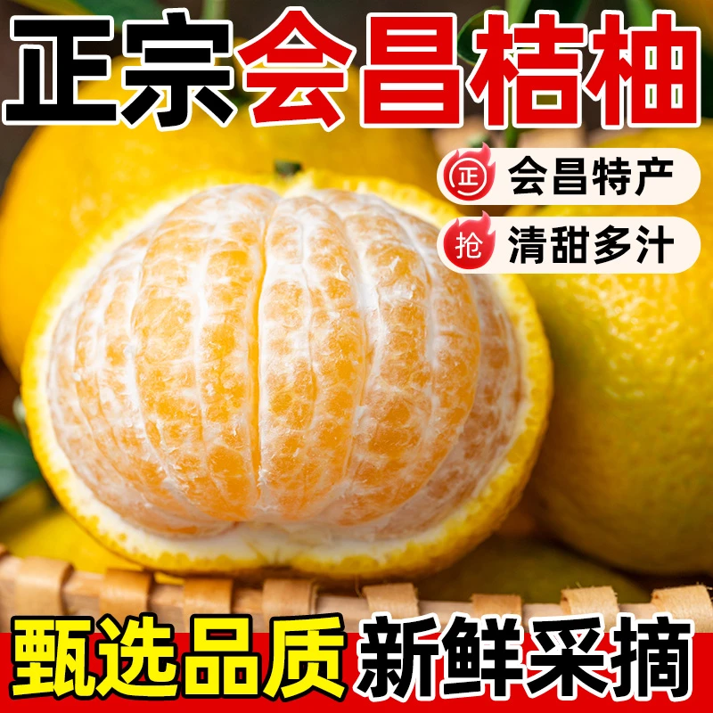 正宗江西赣南会昌甜桔柚带箱5斤/10斤新鲜孕妇水果非庆阳建阳橘柚