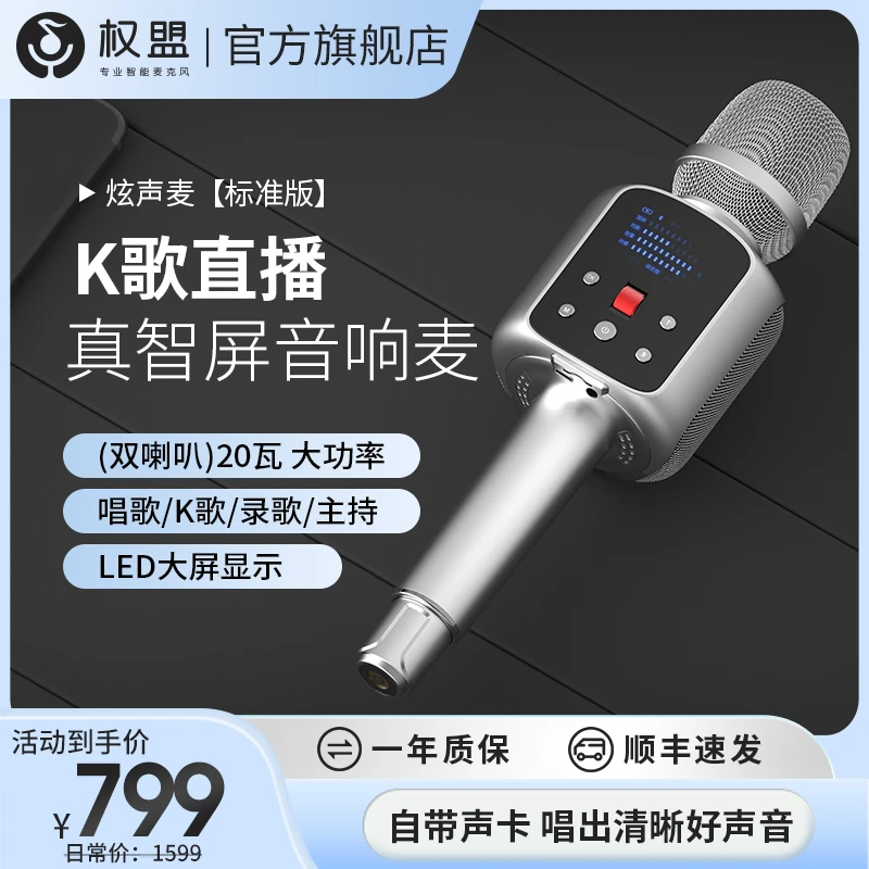 权盟权盟调音双R2动圈咪头麦克风话筒神器唱歌内置无线一体机通用