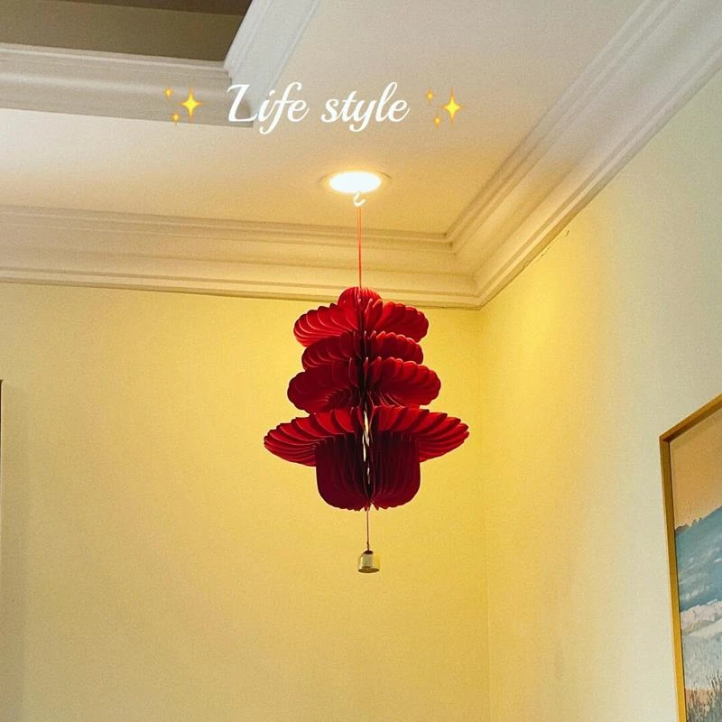 W2025新年春字灯笼一对装饰春节新款蛇年蜂窝红灯笼挂饰室内中国