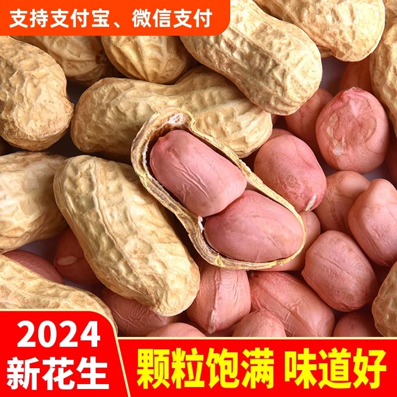 白沙生花生2024年新货晒干带壳新鲜花生果原味白沙带皮薄壳种子