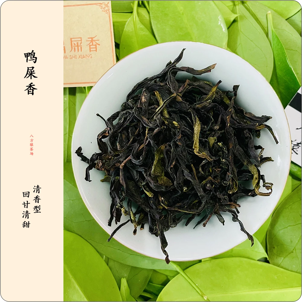 鸭屎香（散装/礼罐装500g）潮州凤凰单枞茶 清香型乌岽单丛乌龙茶