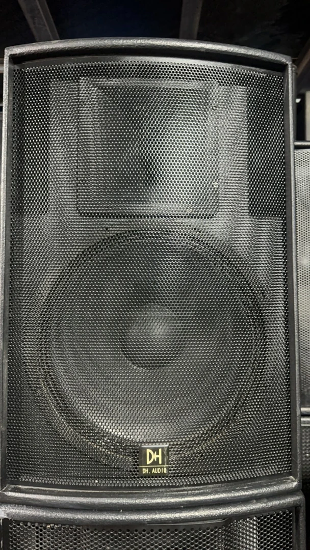 DH新珑15寸音响高低音b&c单元不包邮