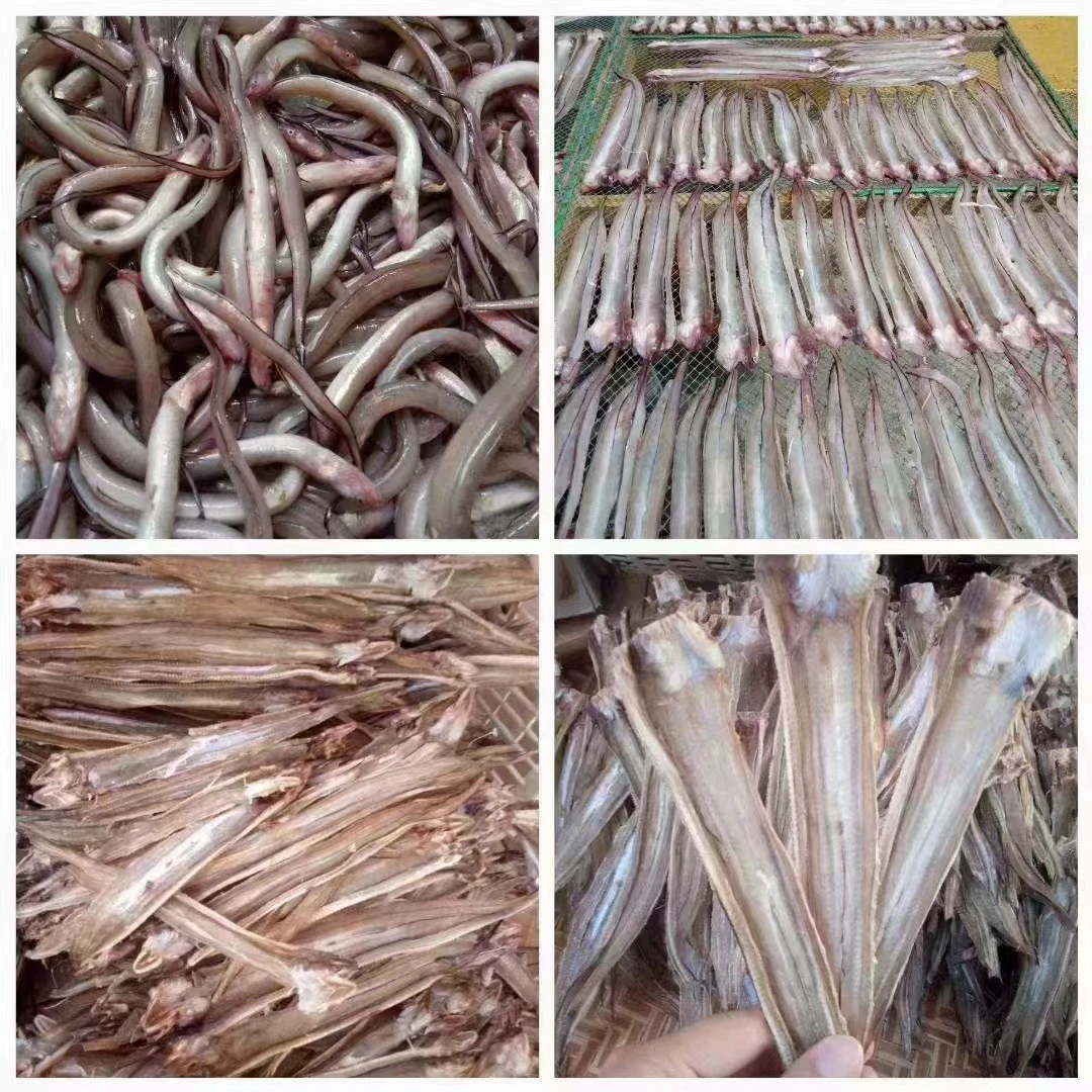汕尾本港麻鱼干双杆麻鱼干500g