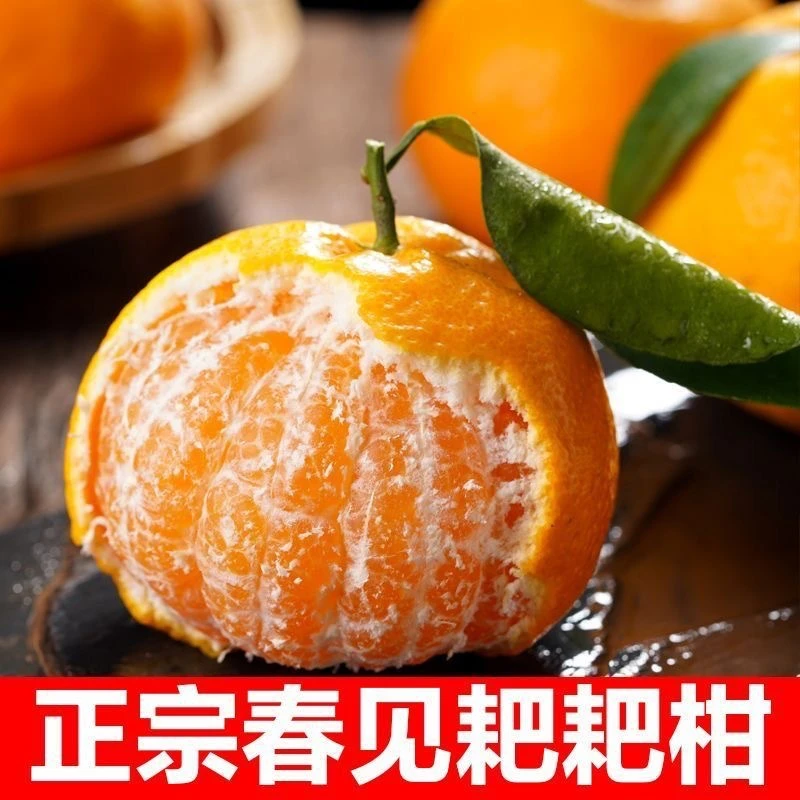 正宗春见耙耙柑四川眉山丑桔子粑粑柑爆甜耙耙柑应季新鲜水果整箱