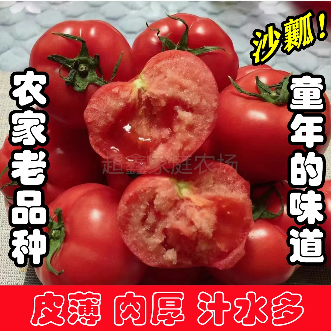 农家种植现摘现发【沙瓤西红柿】爆汁酸甜可口5斤装坏果包赔
