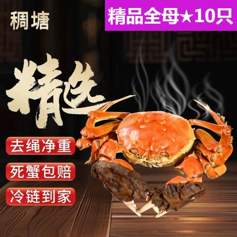 活蟹稠塘河蟹母蟹3两10只精品螃蟹鲜活大螃蟹公蟹4两海鲜礼盒装