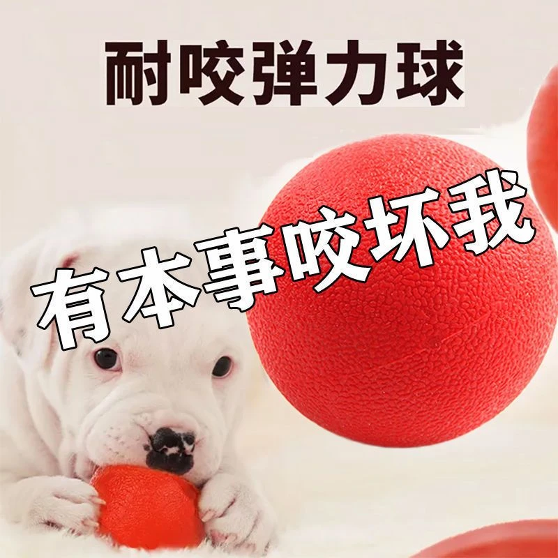 新疆包邮狗狗玩具耐咬弹力球宠物玩具狗狗用品宠物用品狗狗磨牙玩