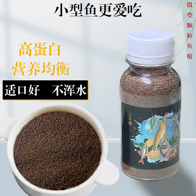 福袋小型观赏鱼饲料孔雀红绿灯热带鱼观赏鱼小鱼观赏鱼活体养殖