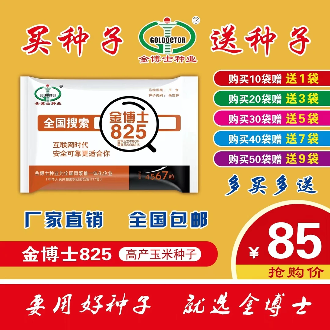 金博士825三国审高产玉米种子播种小矮杆大粗棒抗病抗倒种植种业