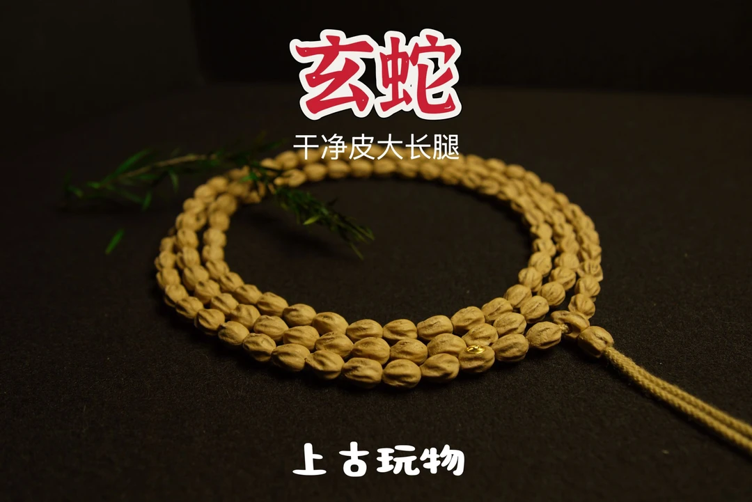 玄蛇热振百香籽/柏香籽干净皮玉化籽手串高桩大长腿